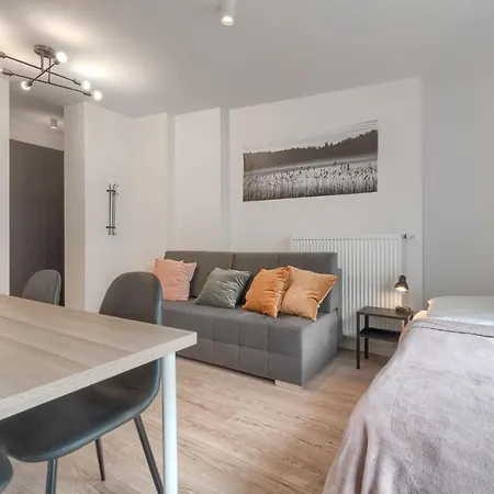Kamienica Centrum 20 Appartement Szczecin