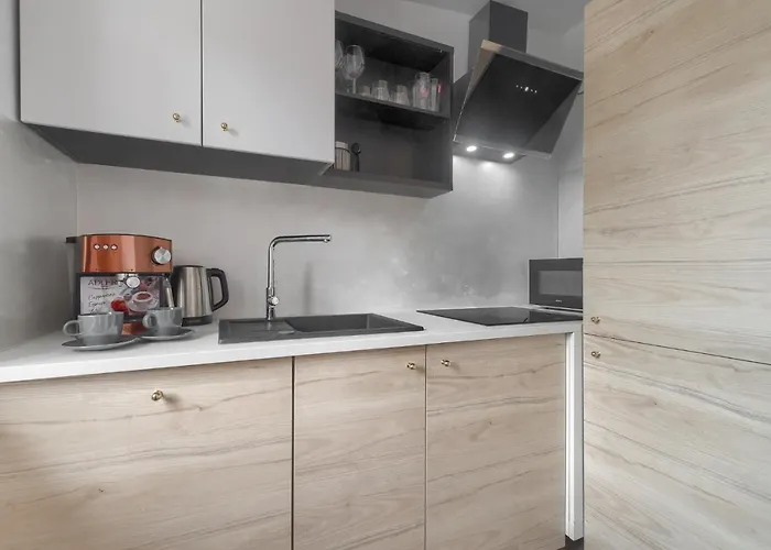 Kamienica Centrum 20 Apartment *