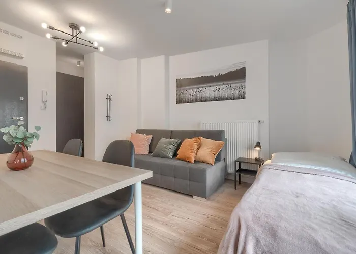 Kamienica Centrum 20 Διαμέρισμα Στσέτσιν